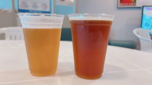 道の駅うなづき「宇奈月麦酒館」人気ビールソフトを食べよう
