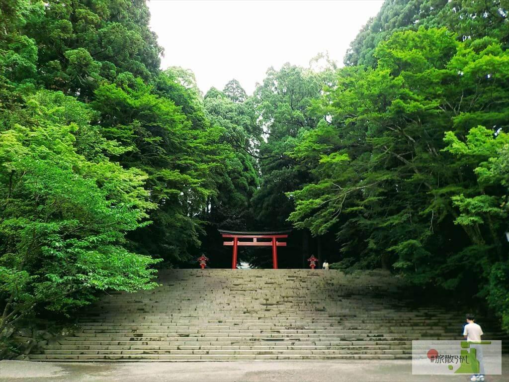 南九州屈指の見どころ豪華絢爛 霧島神宮 濃緑の森を散策する