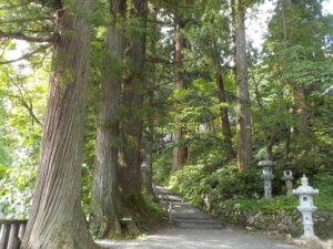 戸隠神社(中社)の見どころと人気のお守りをご紹介
