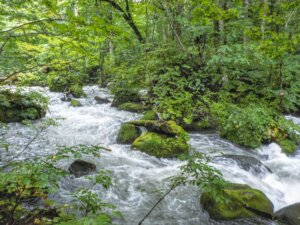 青森県を代表する景勝地「奥入瀬渓流」を短時間散策!服装・靴・所要時間・散策マップと注意点